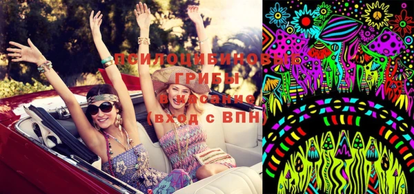 ECSTASY Абаза