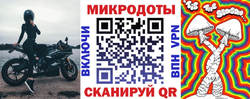 наркота  Ковдор  Галлюциногенные грибы Psilocybe 