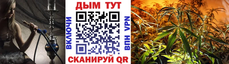 Марихуана Amnesia  hydra как зайти  Ковдор 